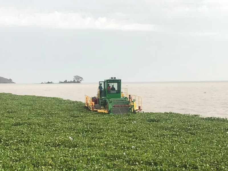 Automatic Water Cleaning Ship/ Aquatic Weed Harvester/Trash Skimmer Boat