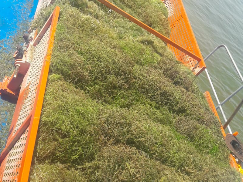 Automatic Water Cleaning Ship/ Aquatic Weed Harvester/Trash Skimmer Boat