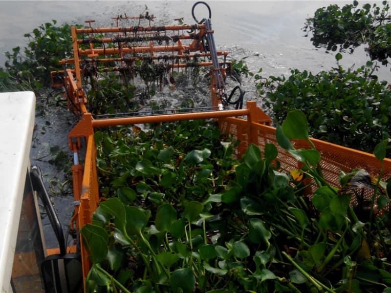 Automatic Water Cleaning Ship/ Aquatic Weed Harvester/Trash Skimmer Boat